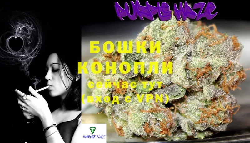 блэк спрут   наркотики  Багратионовск  Каннабис SATIVA & INDICA 